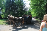 Obrázek 18