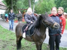Obrázek 33